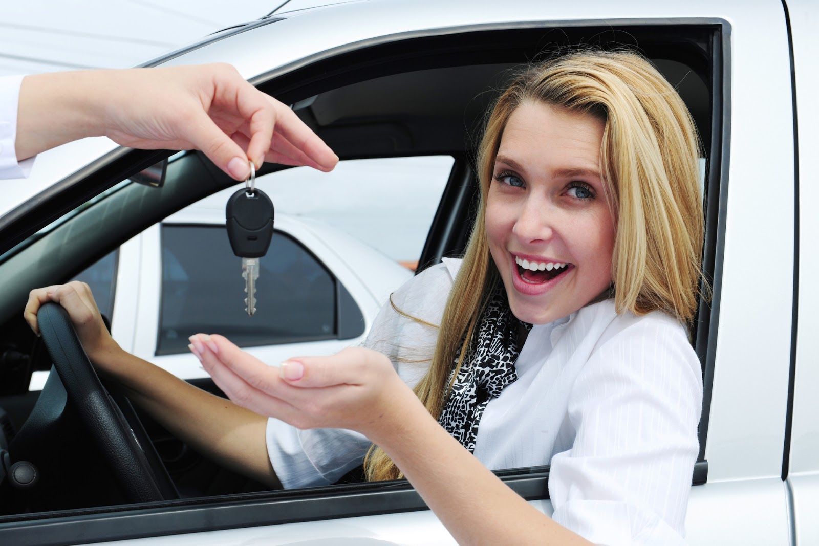 what-is-the-purpose-of-car-rental-service-nelcuoredellealpi